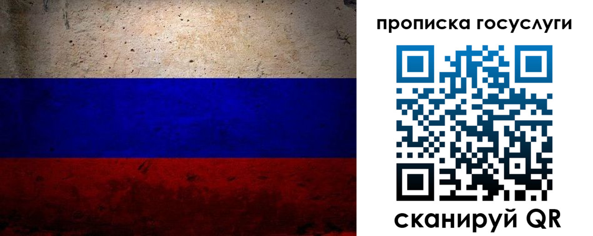 прописка иностранных граждан в Ярославской области